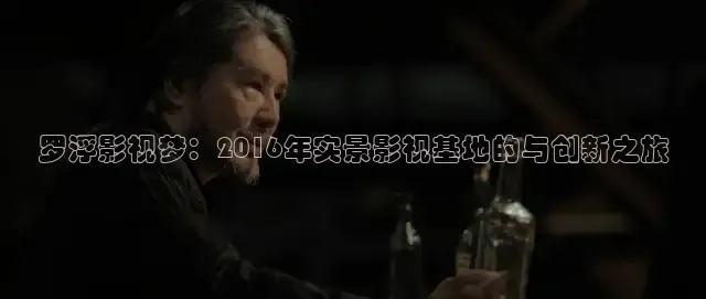 心糖vlog官网